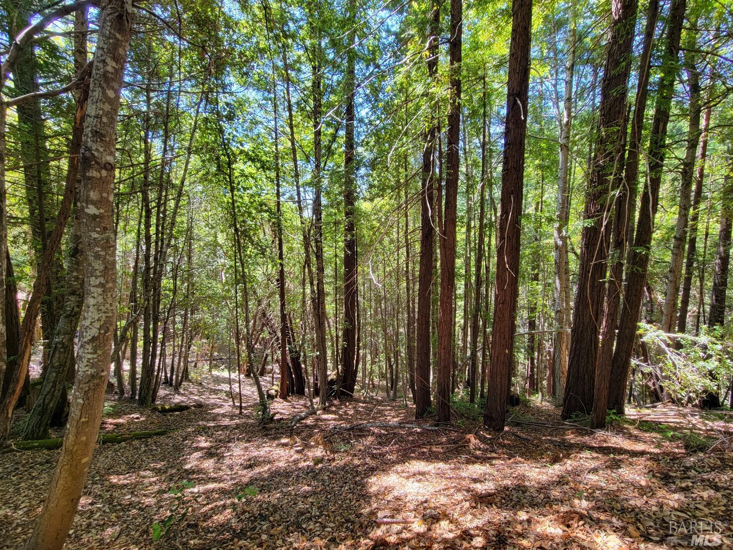 0 Clover Drive Willits CA 95490