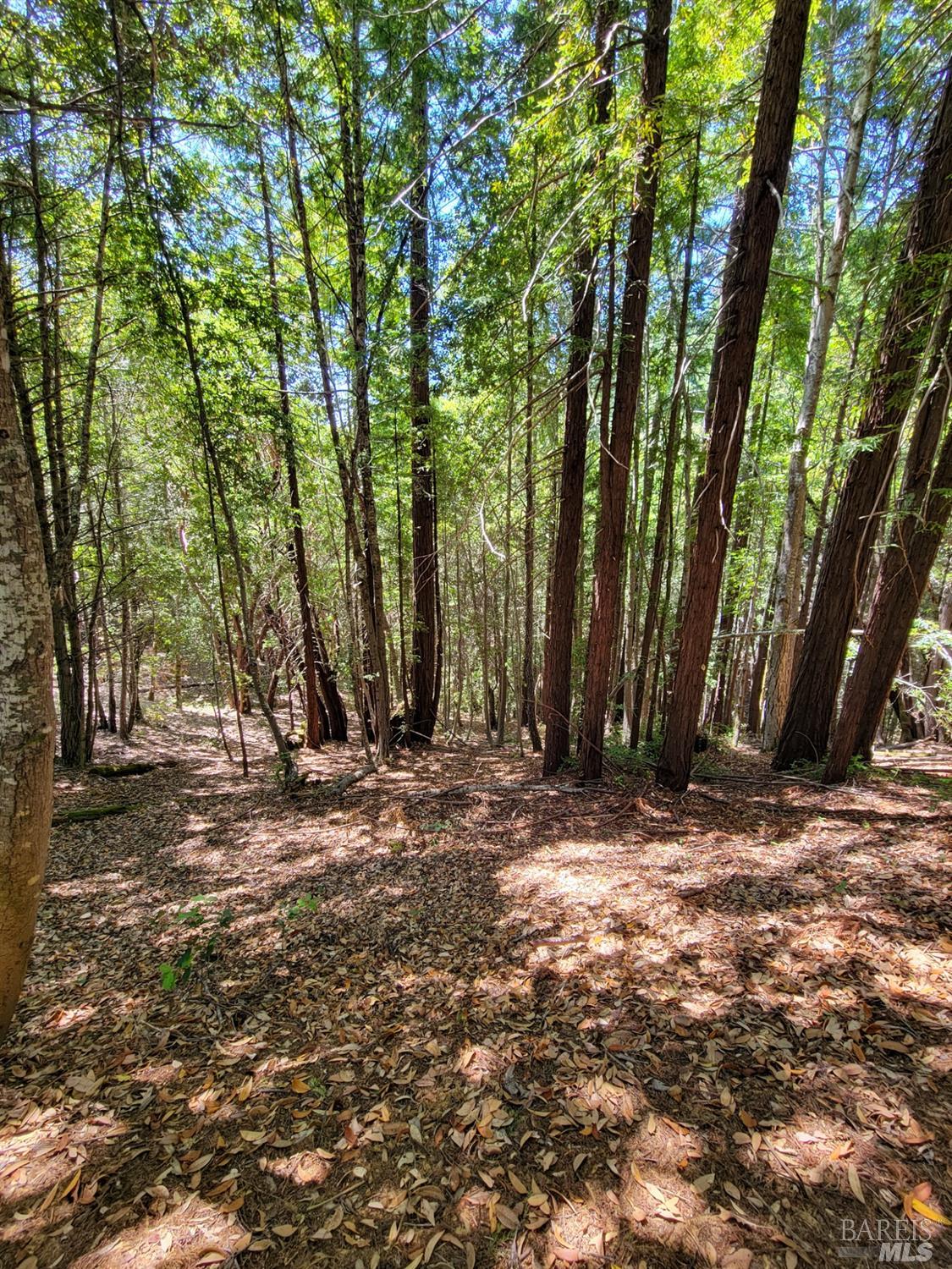 0 Clover Drive Willits CA 95490
