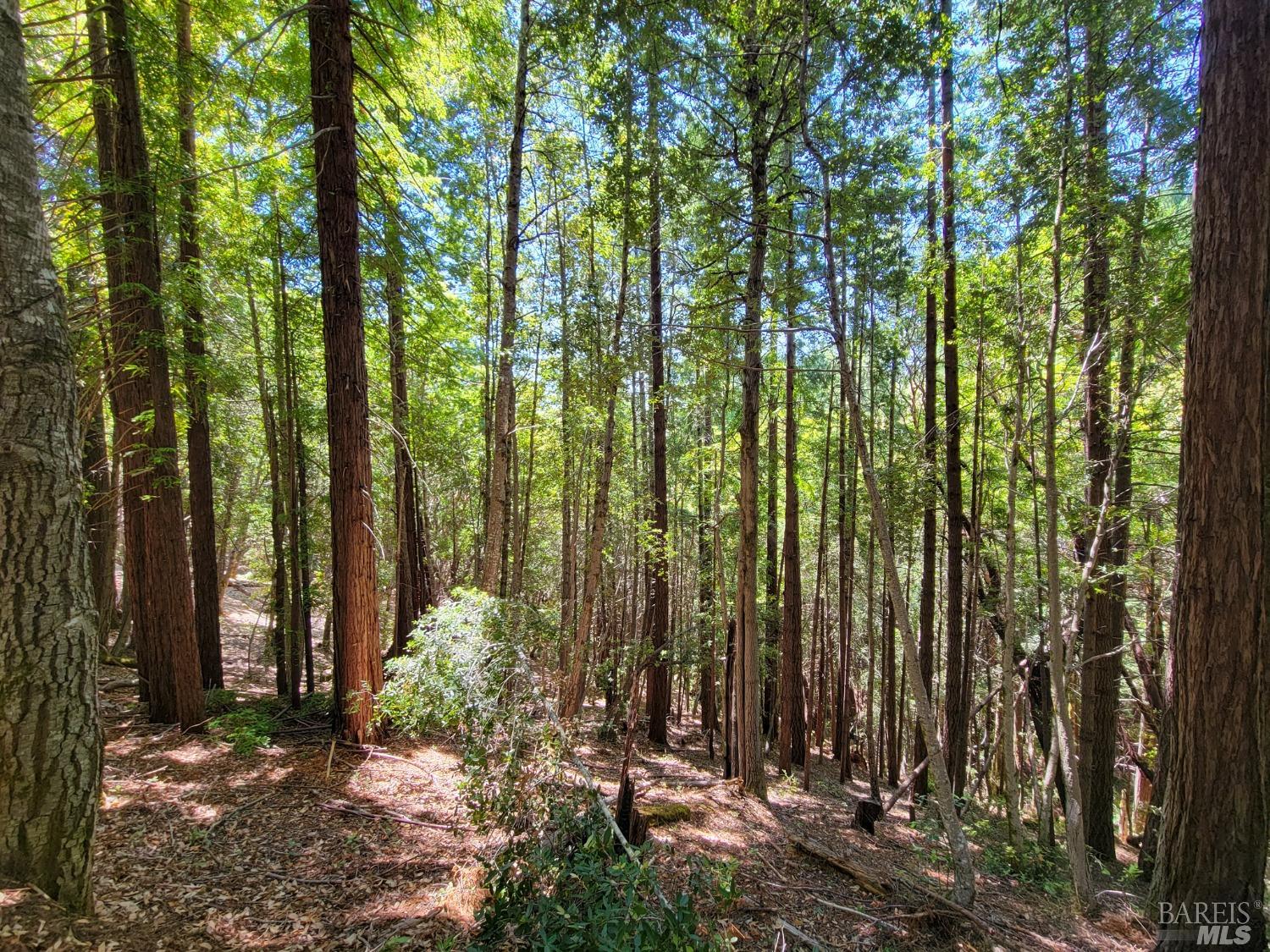 0 Clover Drive Willits CA 95490