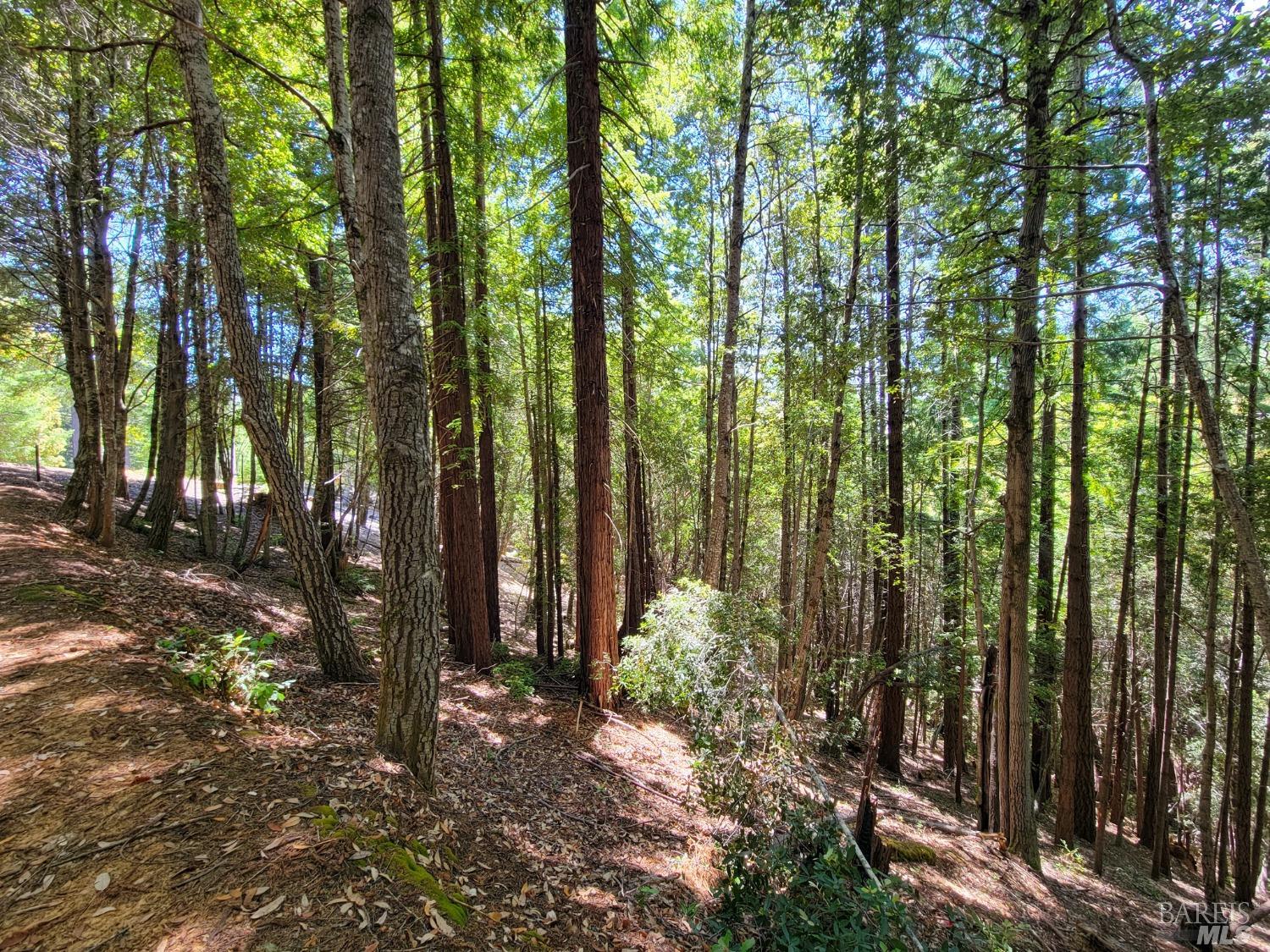 0 Clover Drive Willits CA 95490
