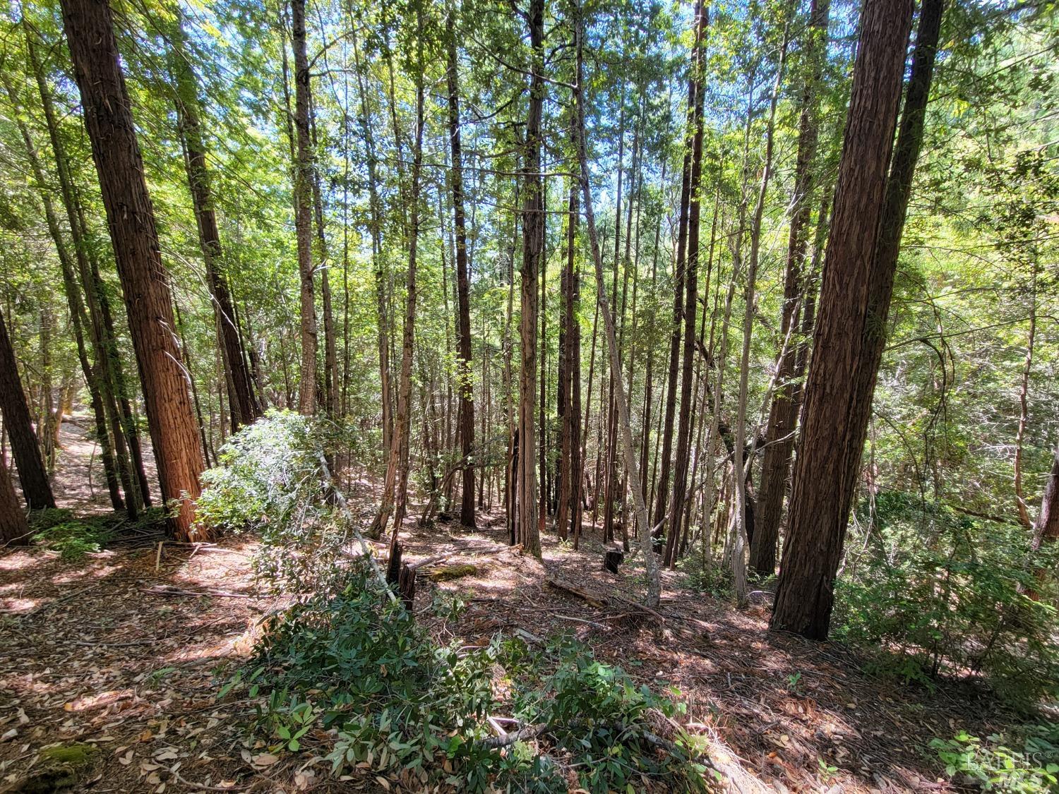 0 Clover Drive Willits CA 95490