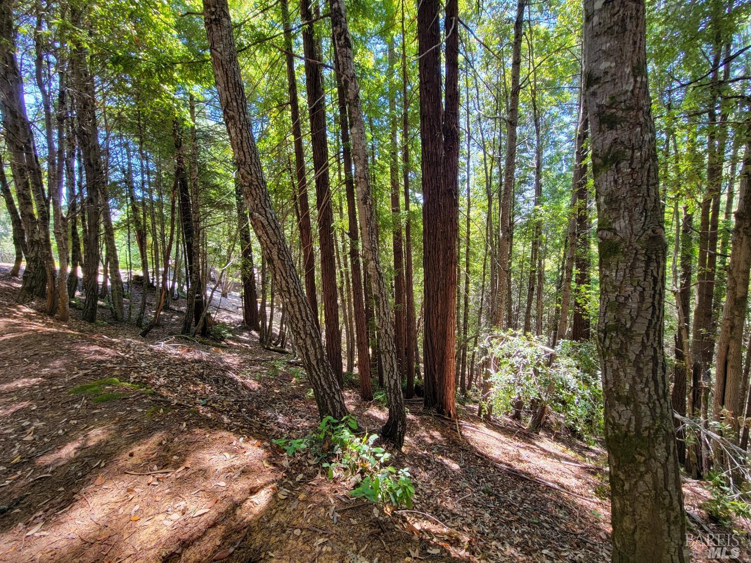 0 Clover Drive Willits CA 95490