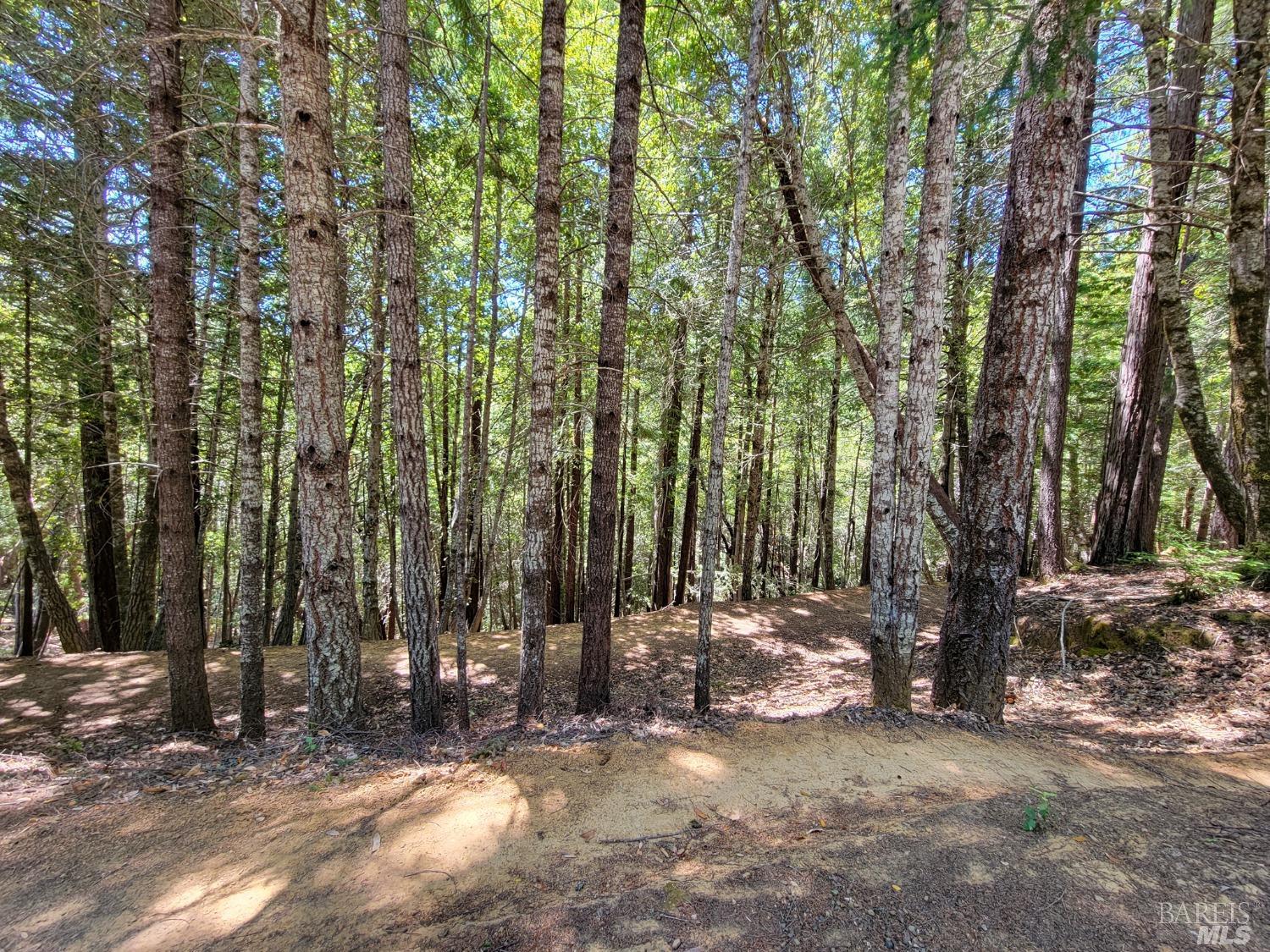 0 Clover Drive Willits CA 95490