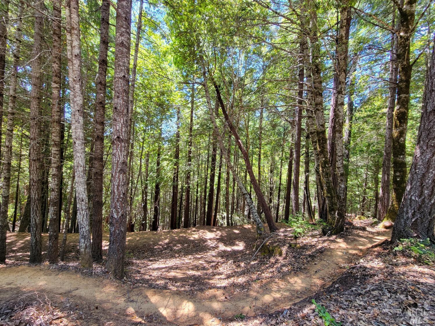 0 Clover Drive Willits CA 95490