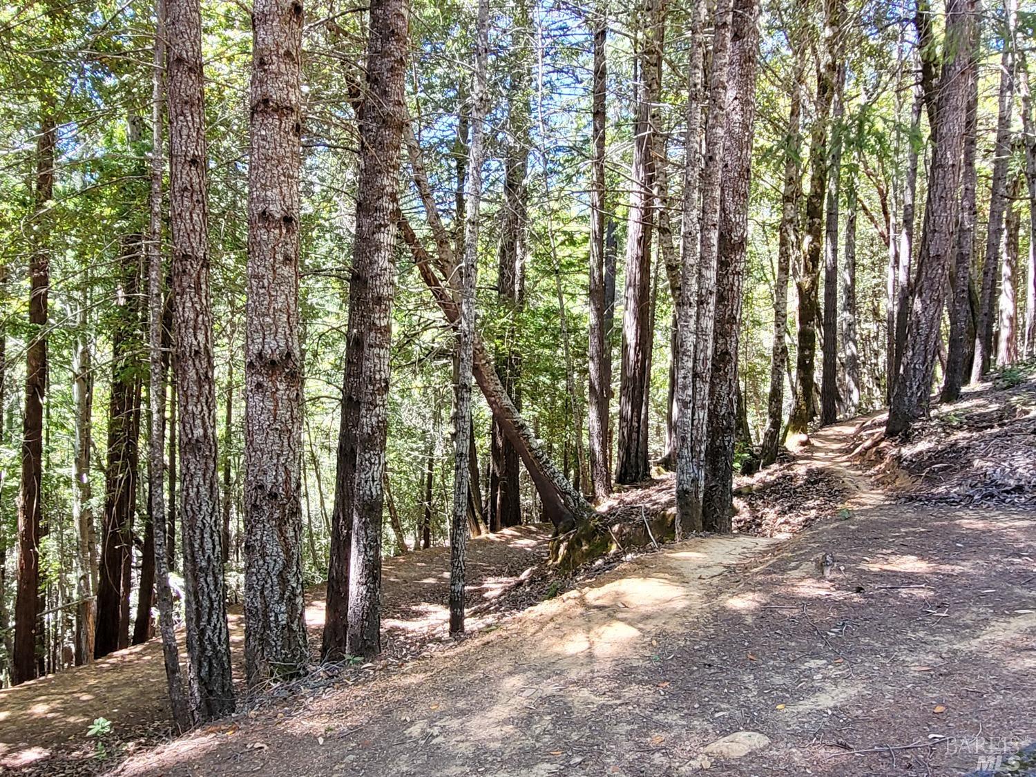 0 Clover Drive Willits CA 95490