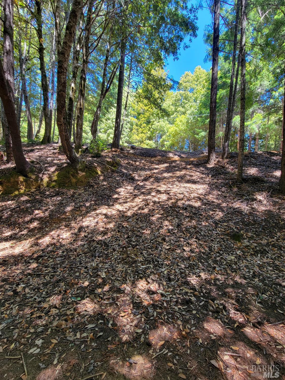 0 Clover Drive Willits CA 95490