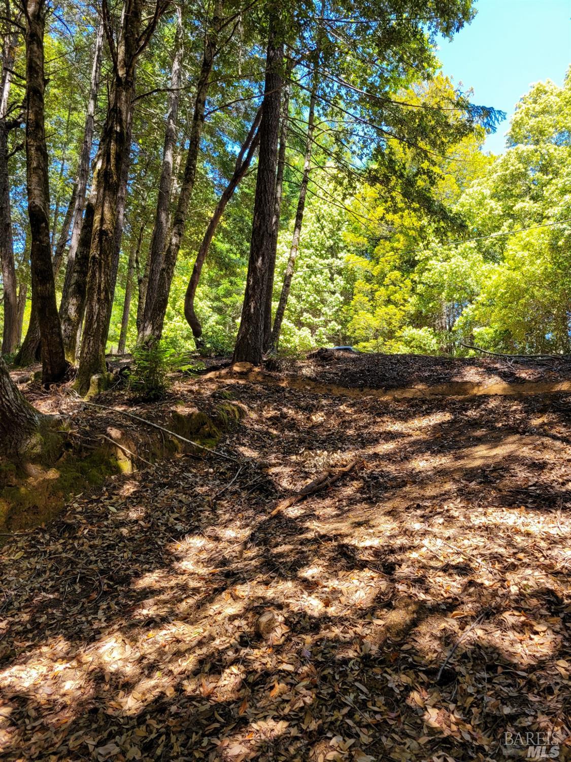 0 Clover Drive Willits CA 95490