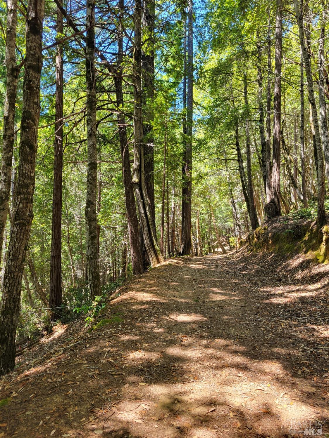 0 Clover Drive Willits CA 95490
