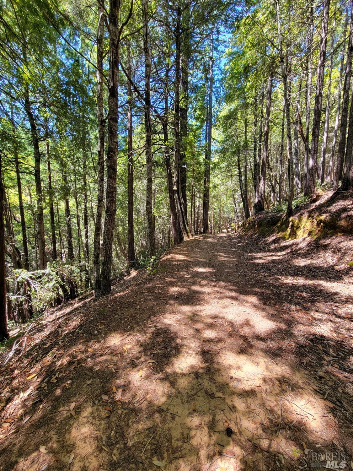 0 Clover Drive Willits CA 95490