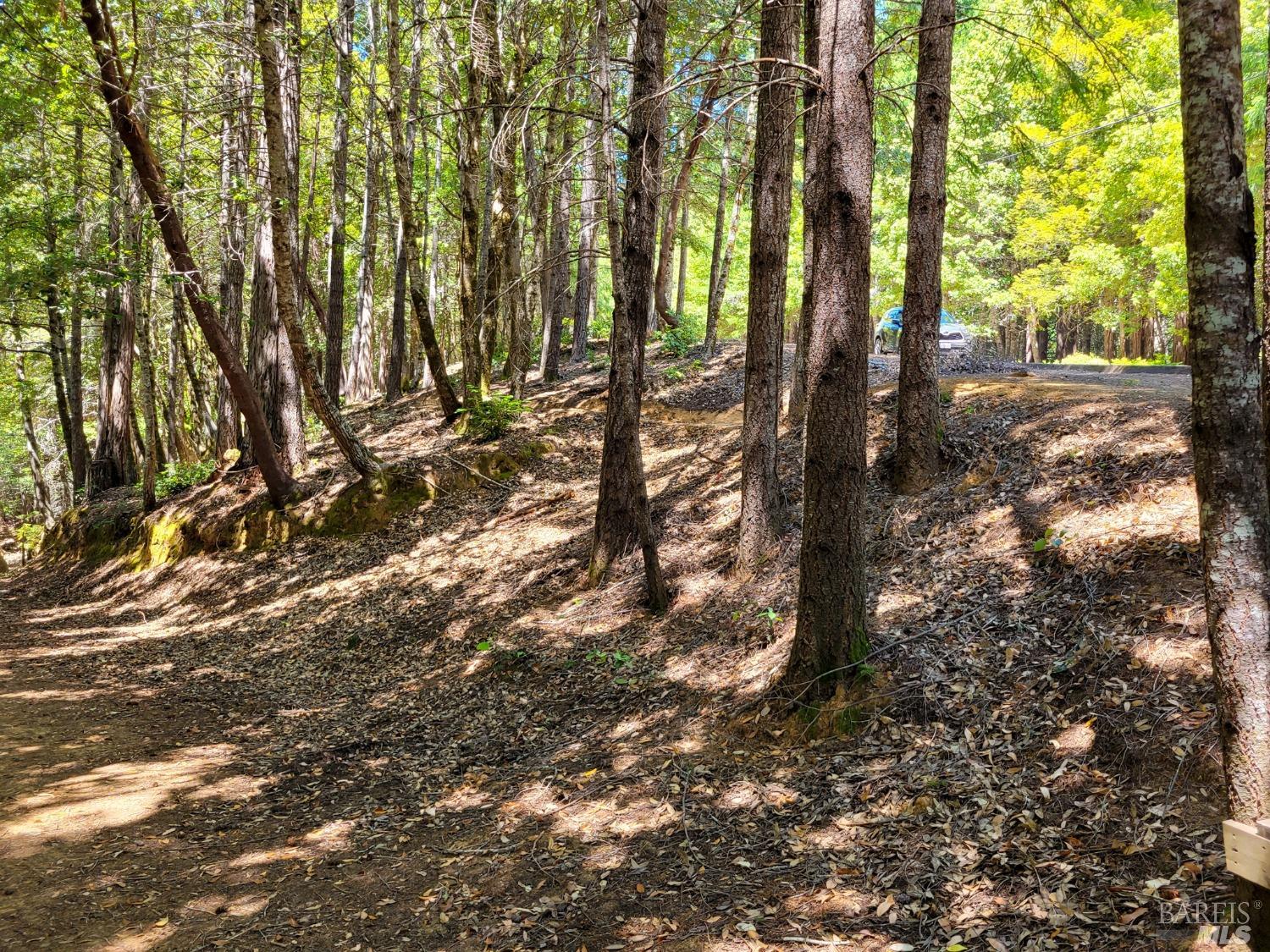 0 Clover Drive Willits CA 95490