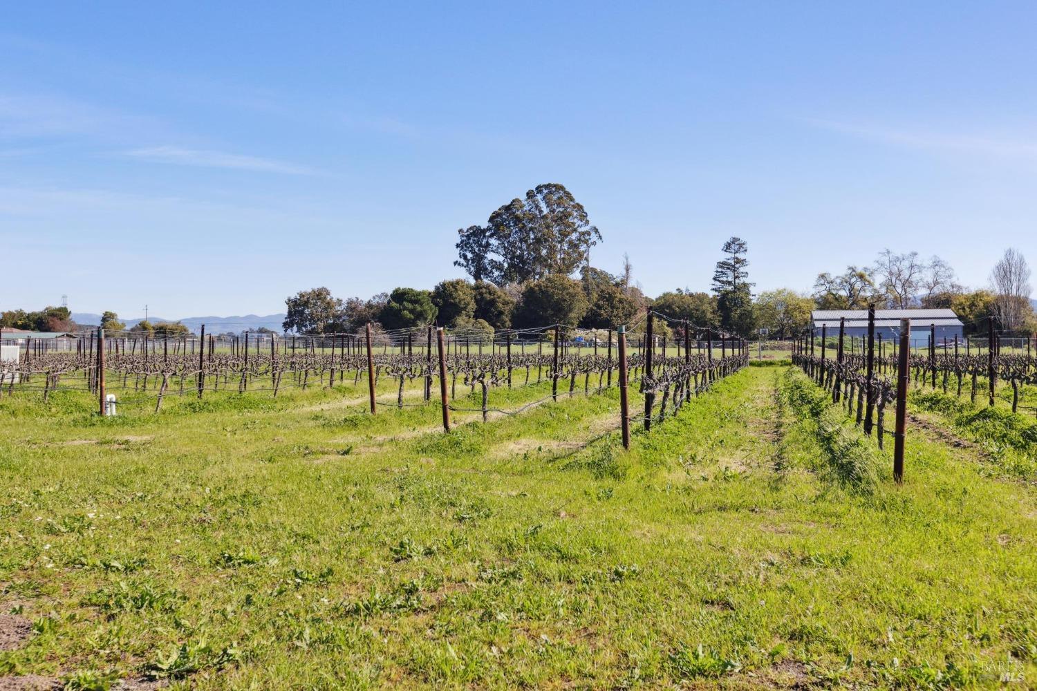 1680 Los Carneros Avenue Napa CA 94559