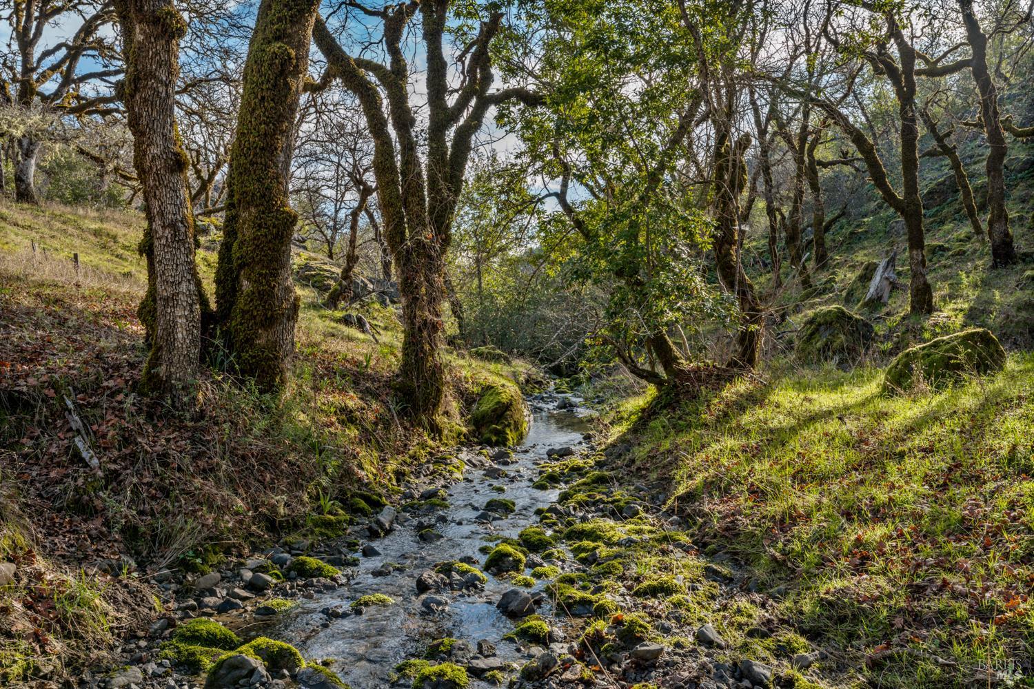 5400 Orr Springs Road Ukiah CA 95482