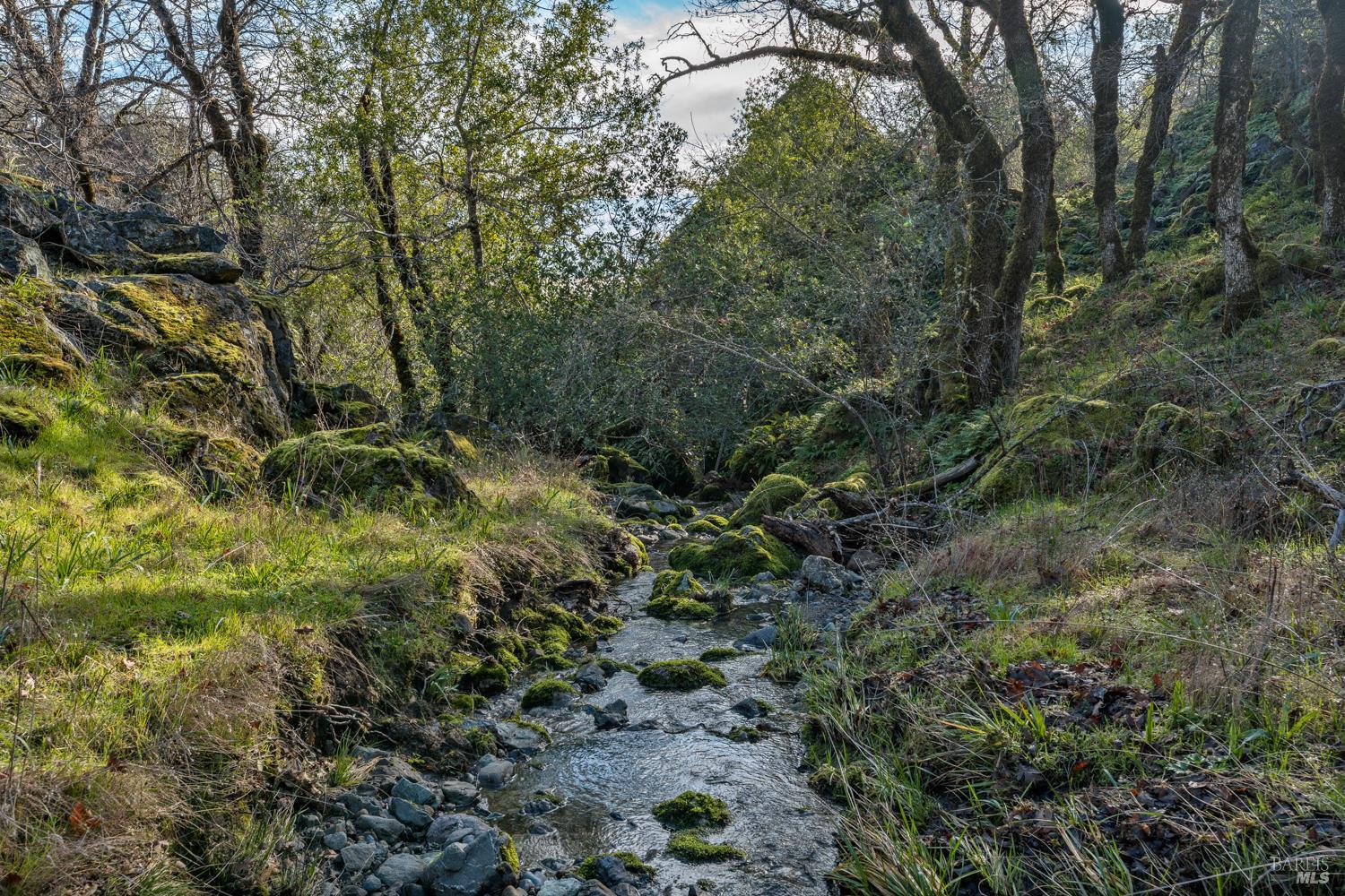 5400 Orr Springs Road Ukiah CA 95482