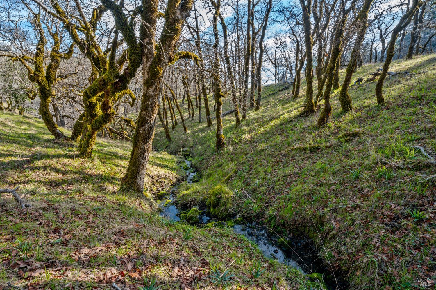 5400 Orr Springs Road Ukiah CA 95482