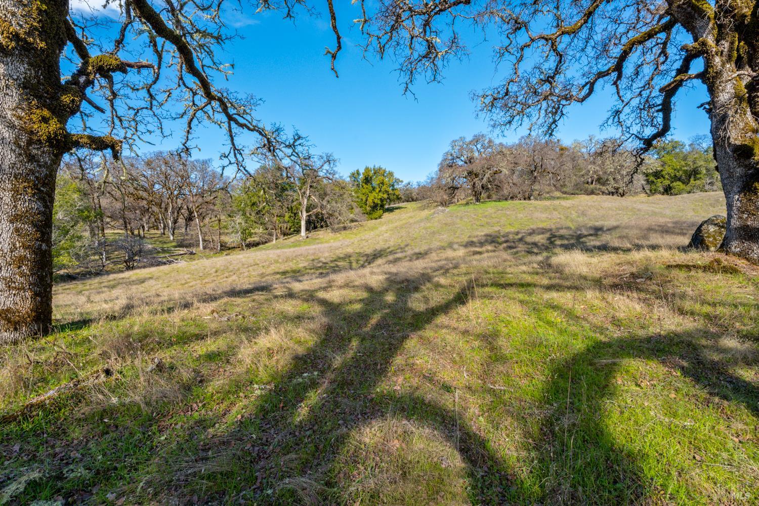 5400 Orr Springs Road Ukiah CA 95482