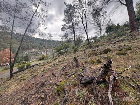 4707 Kaweah Road Kelseyville CA 95451