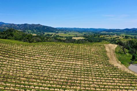 376 Artisan Circle Geyserville CA 95441