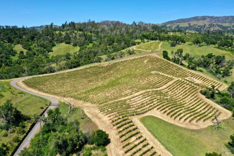 376 Artisan Circle Geyserville CA 95441