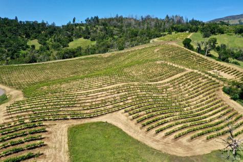 376 Artisan Circle Geyserville CA 95441