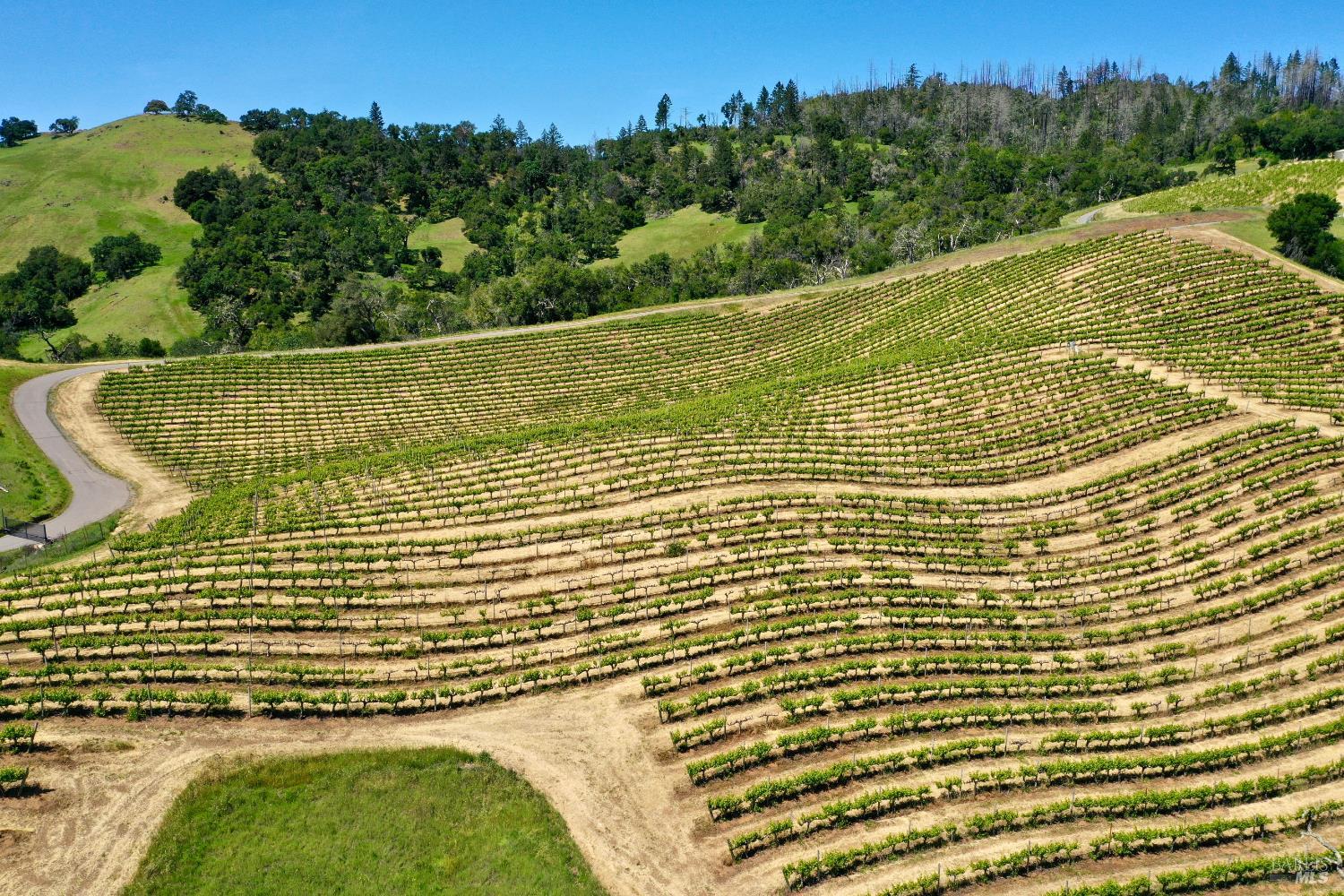 376 Artisan Circle Geyserville CA 95441