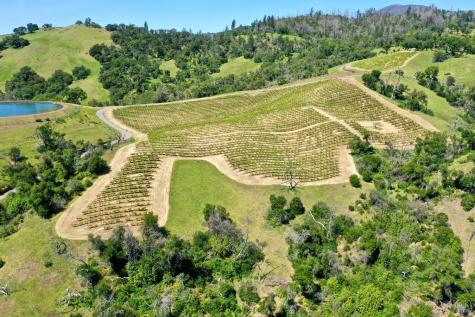376 Artisan Circle Geyserville CA 95441