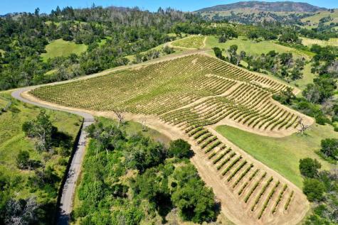 376 Artisan Circle Geyserville CA 95441