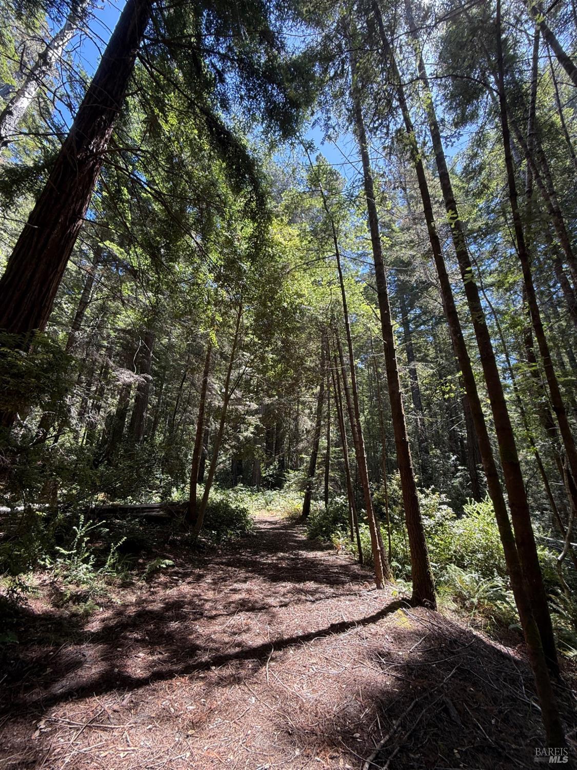 35206 Fly Cloud Road The Sea Ranch CA 95497