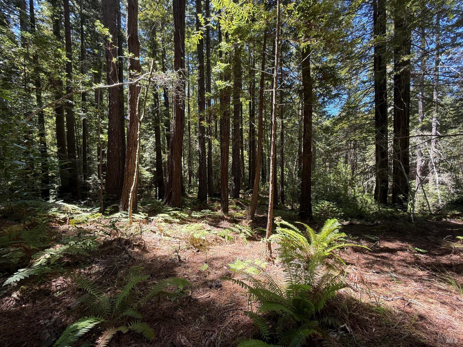 35206 Fly Cloud Road The Sea Ranch CA 95497