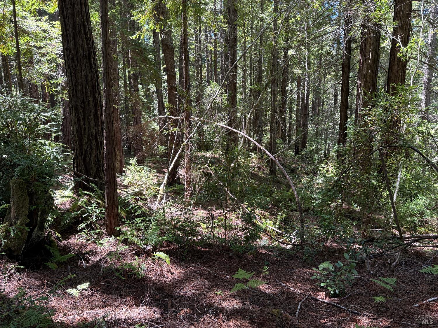 35206 Fly Cloud Road The Sea Ranch CA 95497