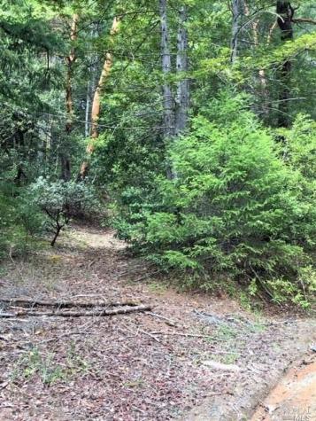 30200 Timberline Road Willits CA 95490