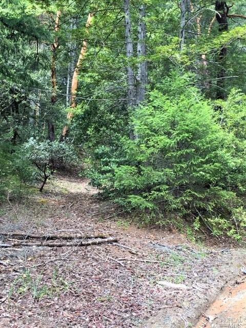30200 Timberline Road Willits CA 95490