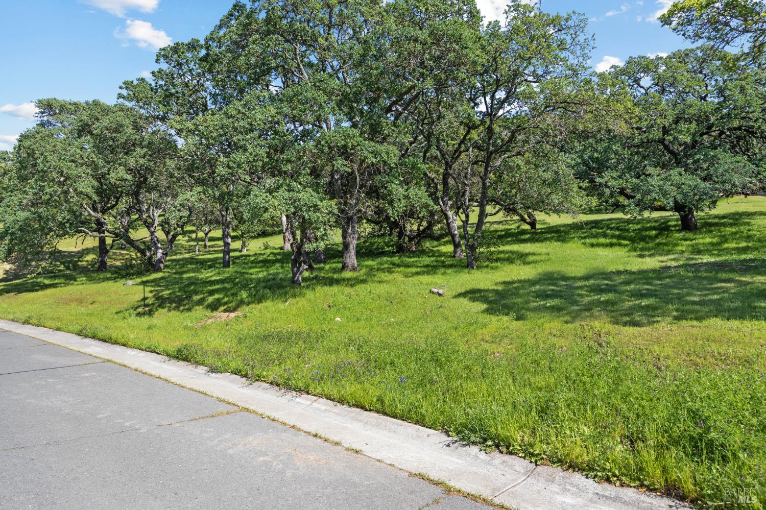 738 Bridle Ridge Court Fairfield CA 94534