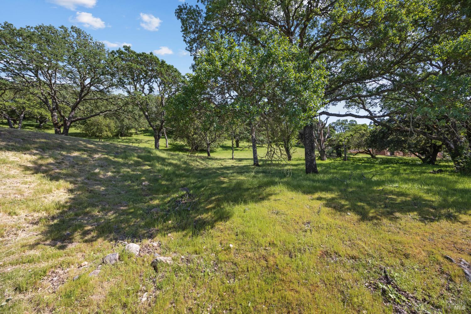 738 Bridle Ridge Court Fairfield CA 94534