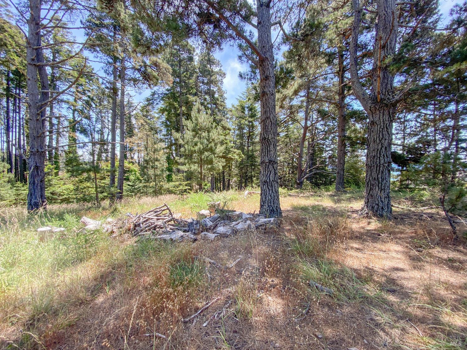 39001-39051 Cypress Way Gualala CA 95445