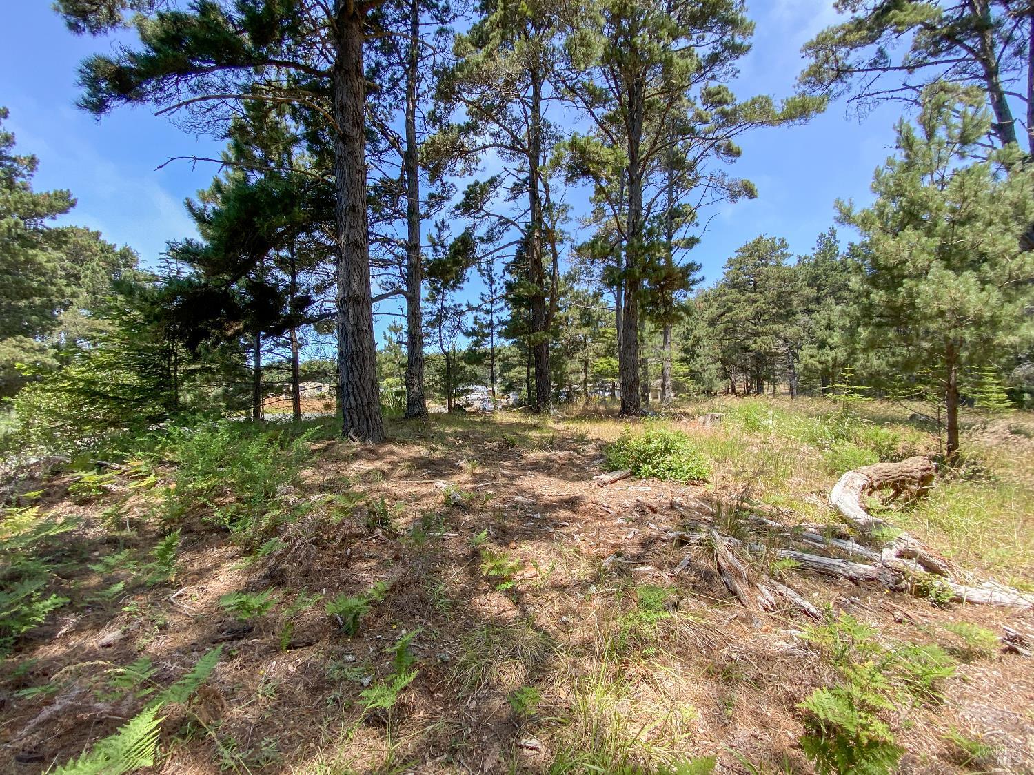 39001-39051 Cypress Way Gualala CA 95445