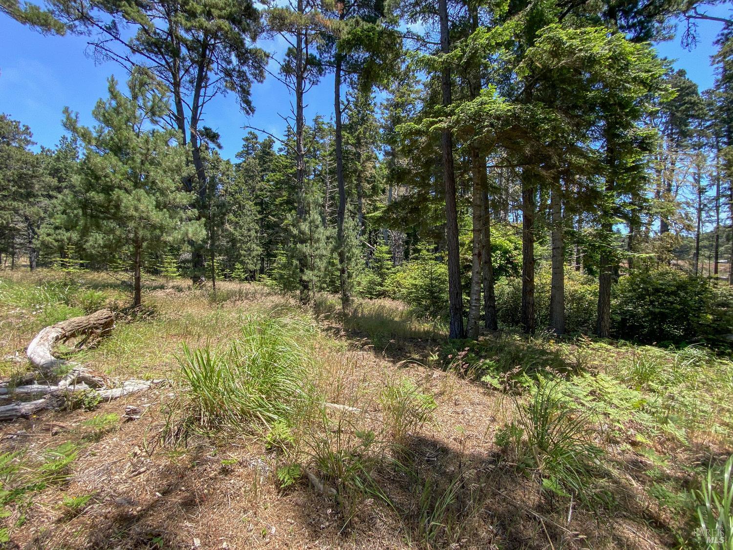 39001-39051 Cypress Way Gualala CA 95445