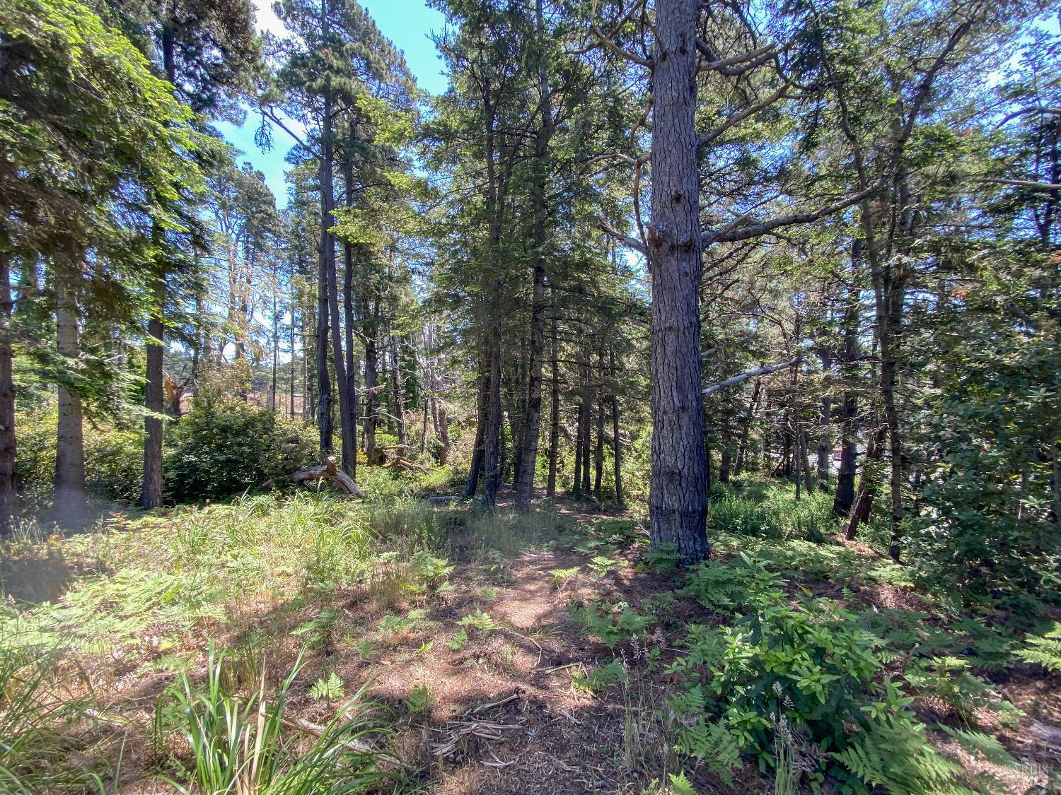 39001-39051 Cypress Way Gualala CA 95445