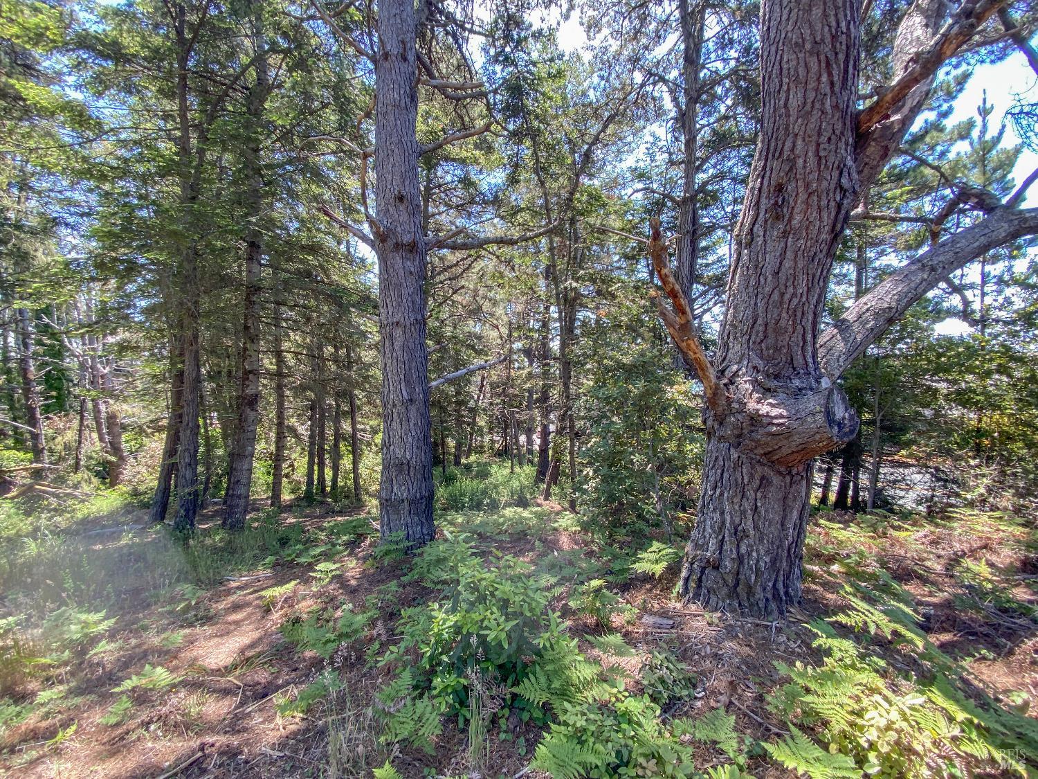 39001-39051 Cypress Way Gualala CA 95445