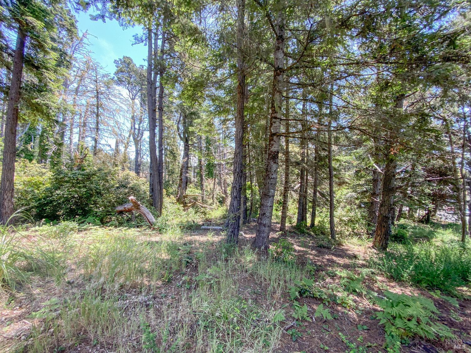 39001-39051 Cypress Way Gualala CA 95445