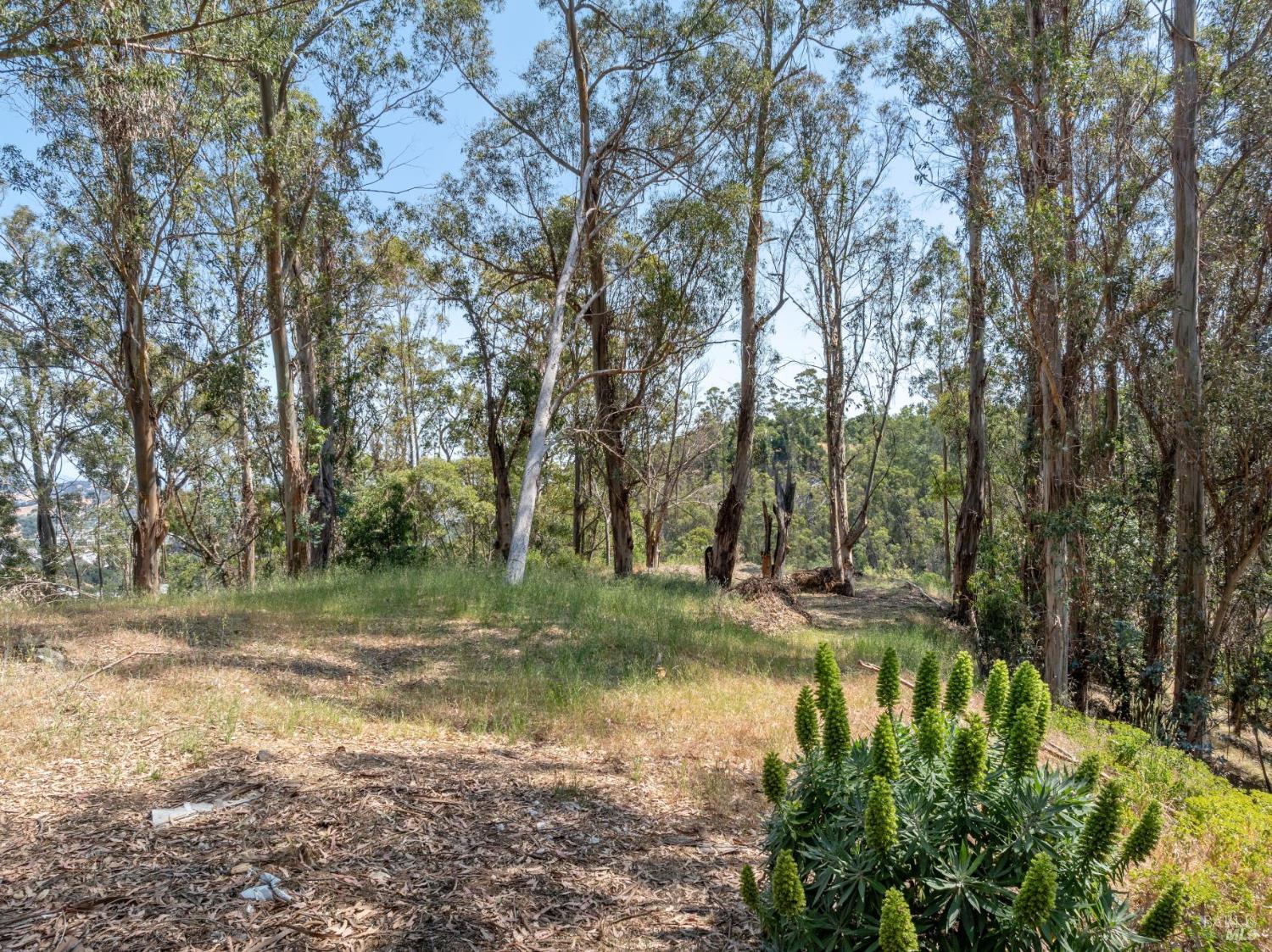 0 Chula Vista Drive San Rafael CA 94901