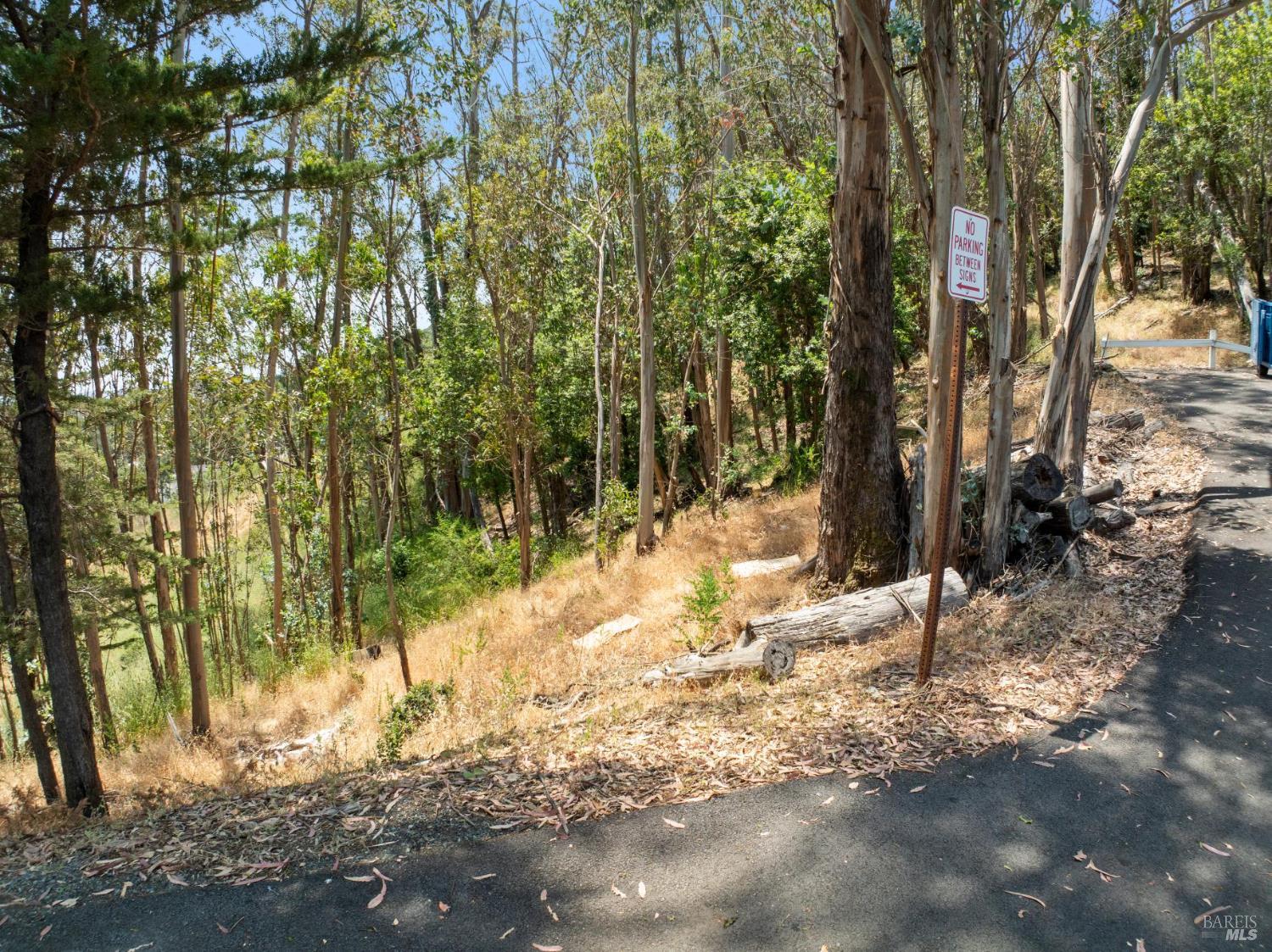 0 Chula Vista Drive San Rafael CA 94901