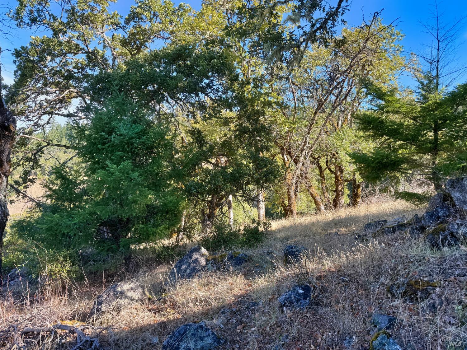 18225 Scenic Drive Redwood Valley CA 95470