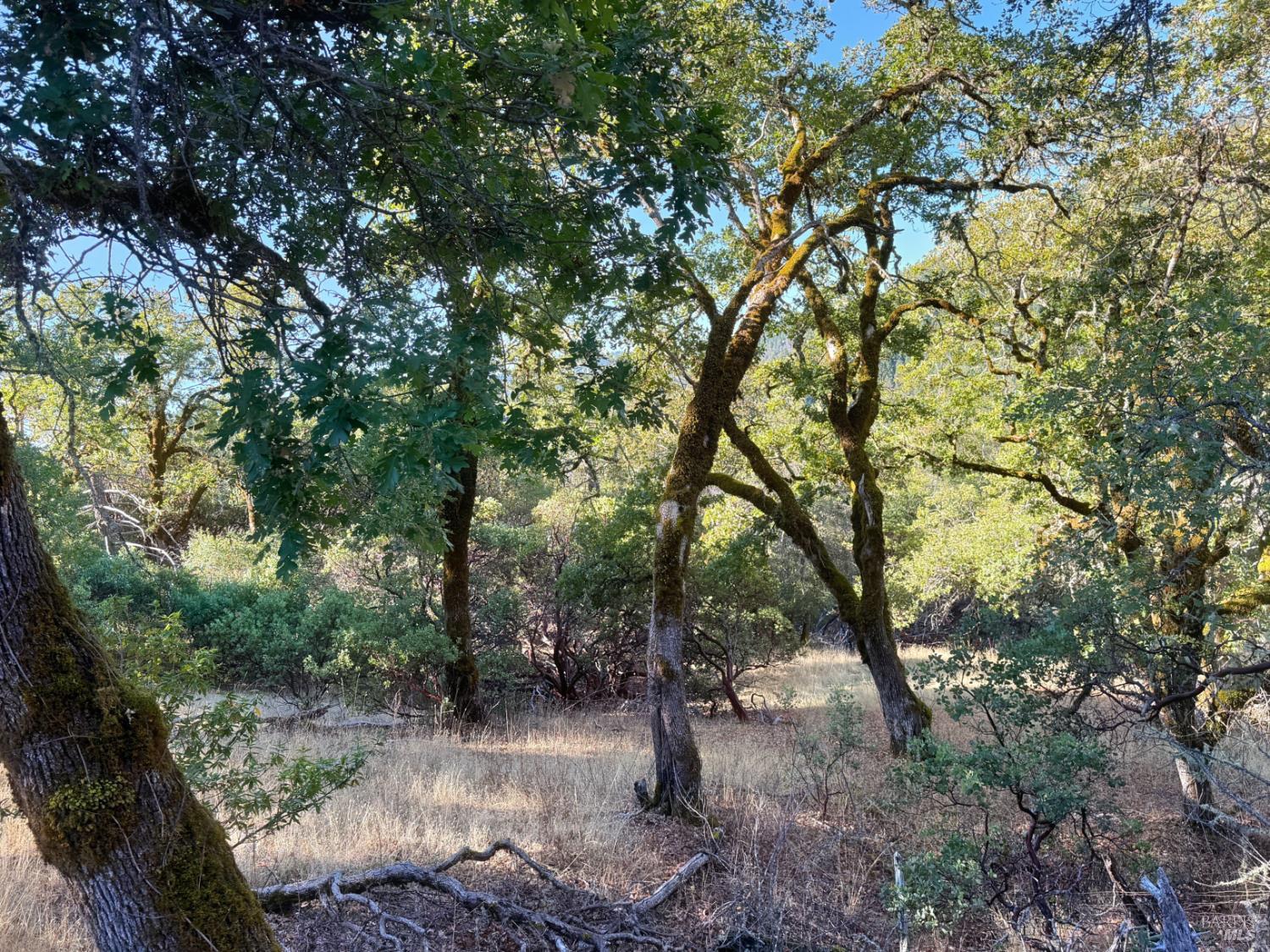 18225 Scenic Drive Redwood Valley CA 95470