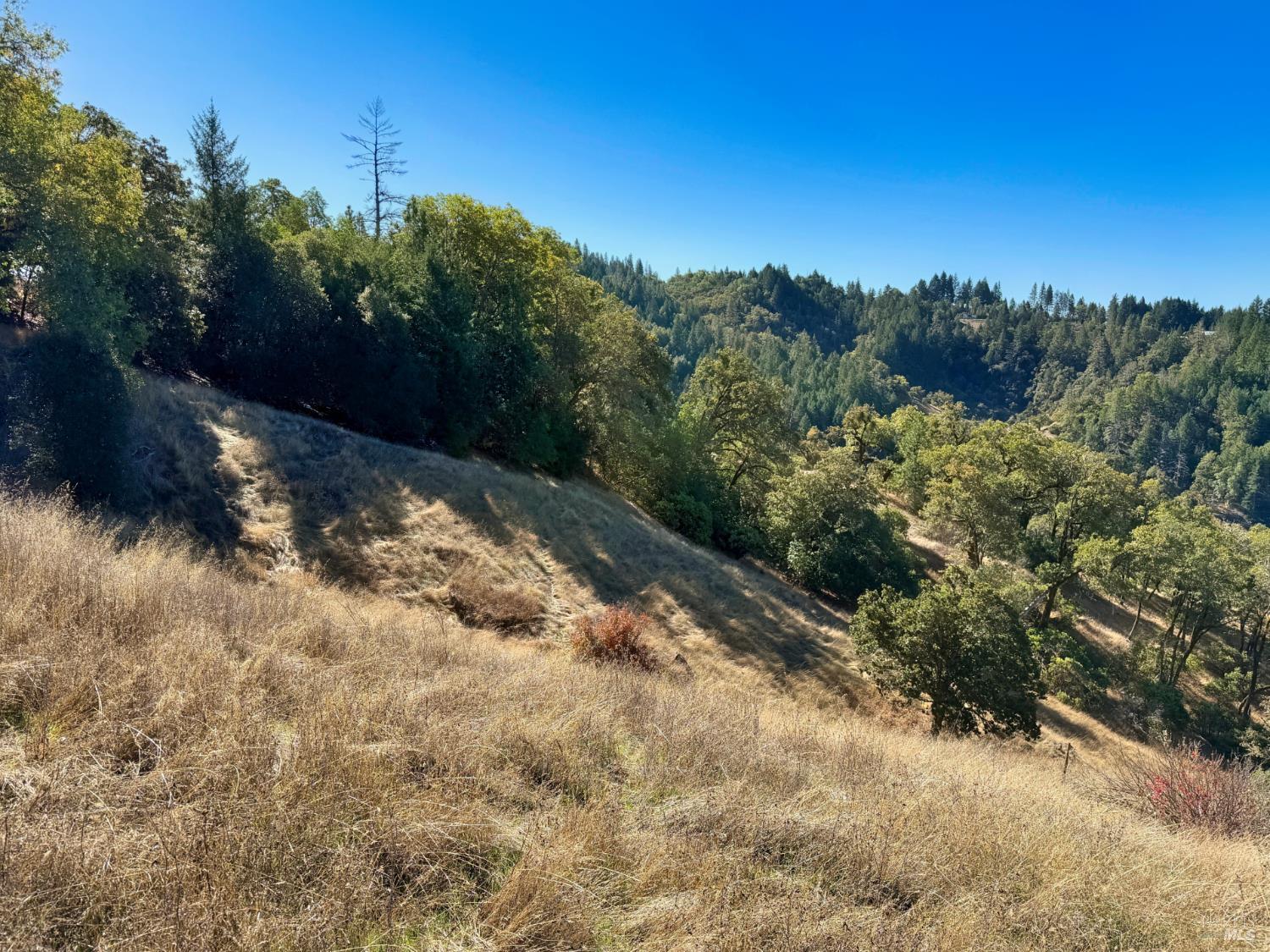 18225 Scenic Drive Redwood Valley CA 95470