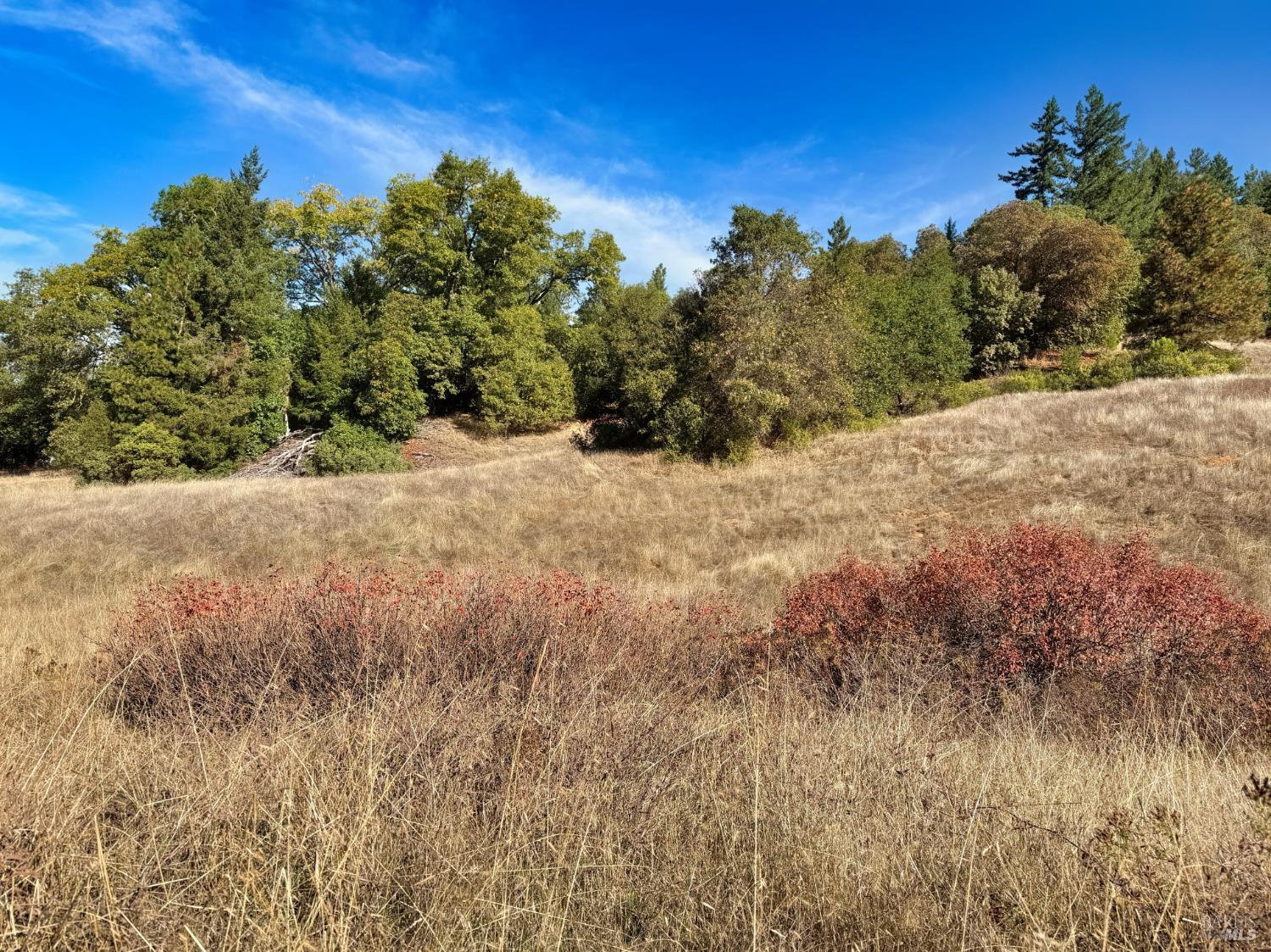 18225 Scenic Drive Redwood Valley CA 95470