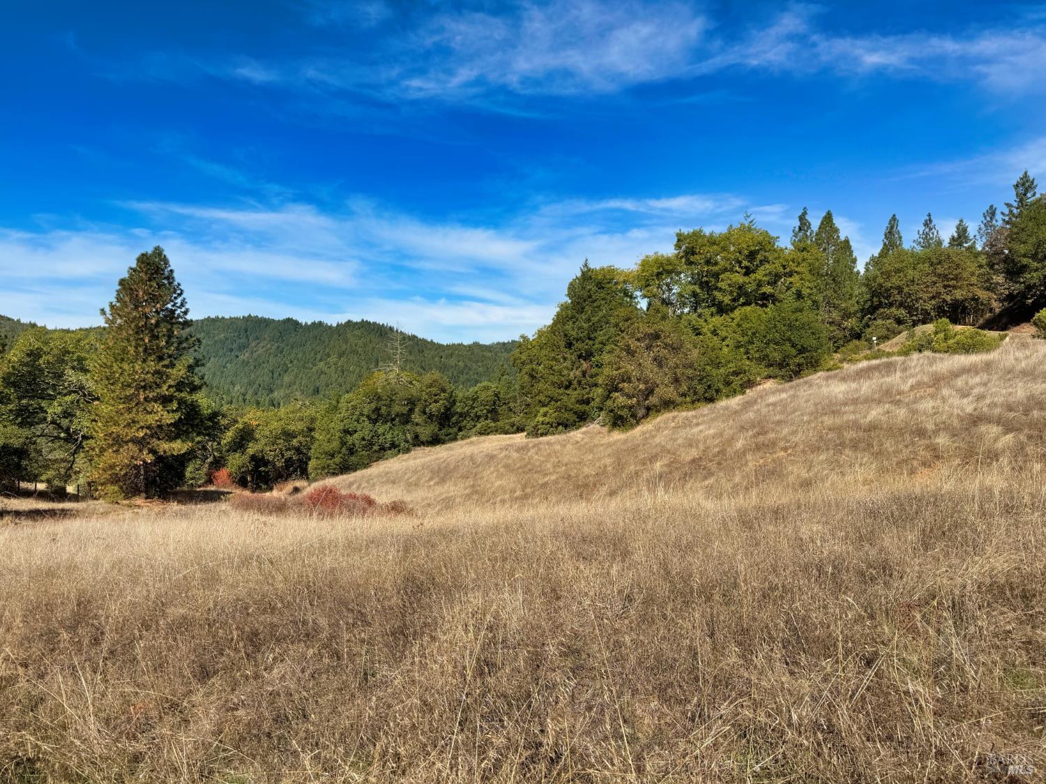 18225 Scenic Drive Redwood Valley CA 95470