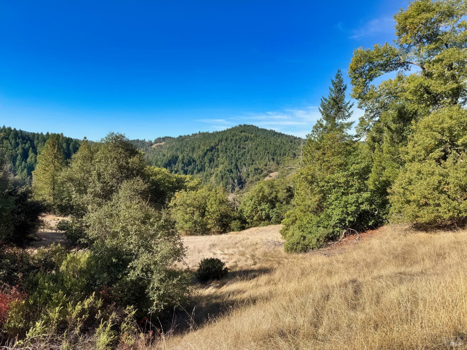 18225 Scenic Drive Redwood Valley CA 95470