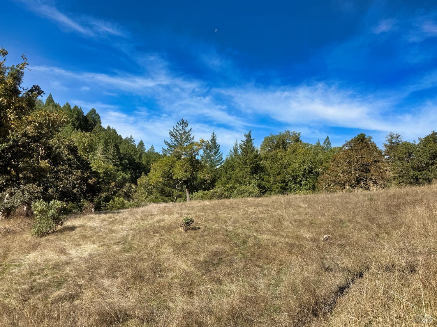 18225 Scenic Drive Redwood Valley CA 95470