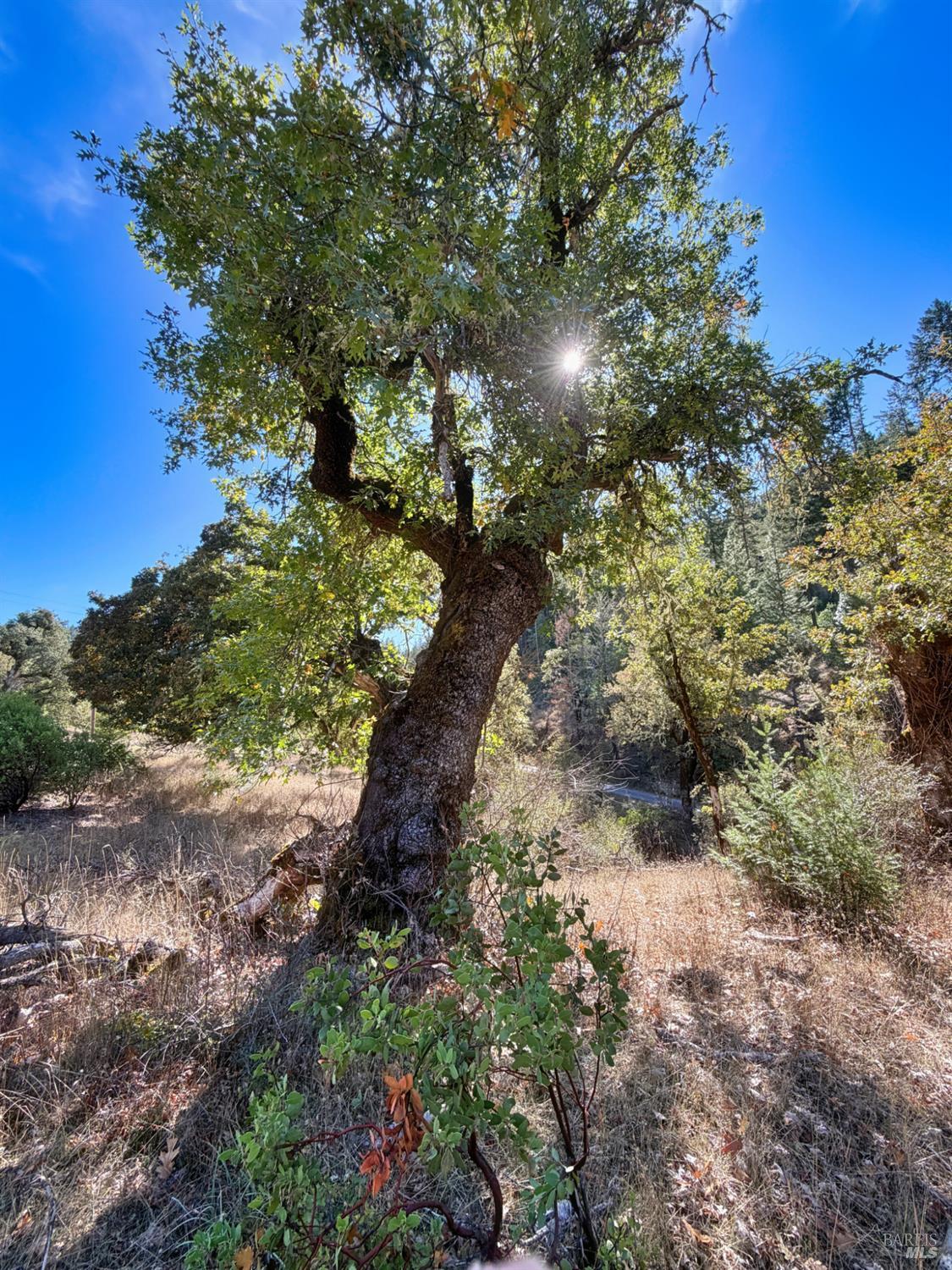 18225 Scenic Drive Redwood Valley CA 95470