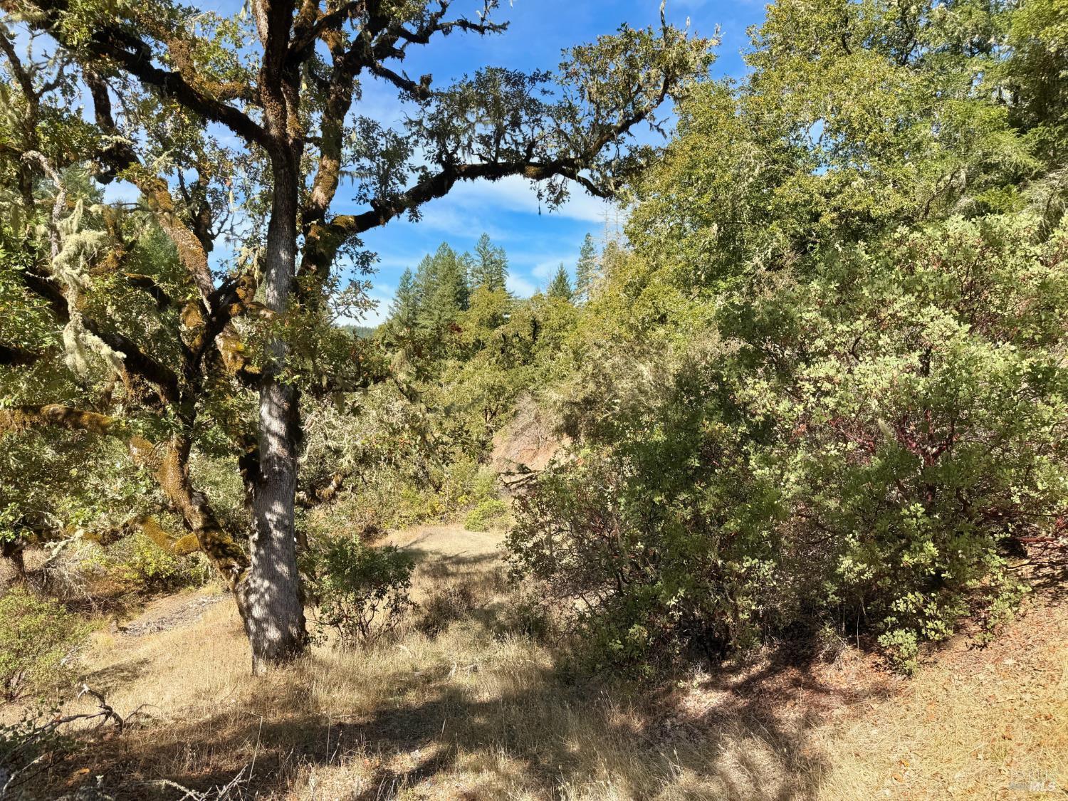 18225 Scenic Drive Redwood Valley CA 95470